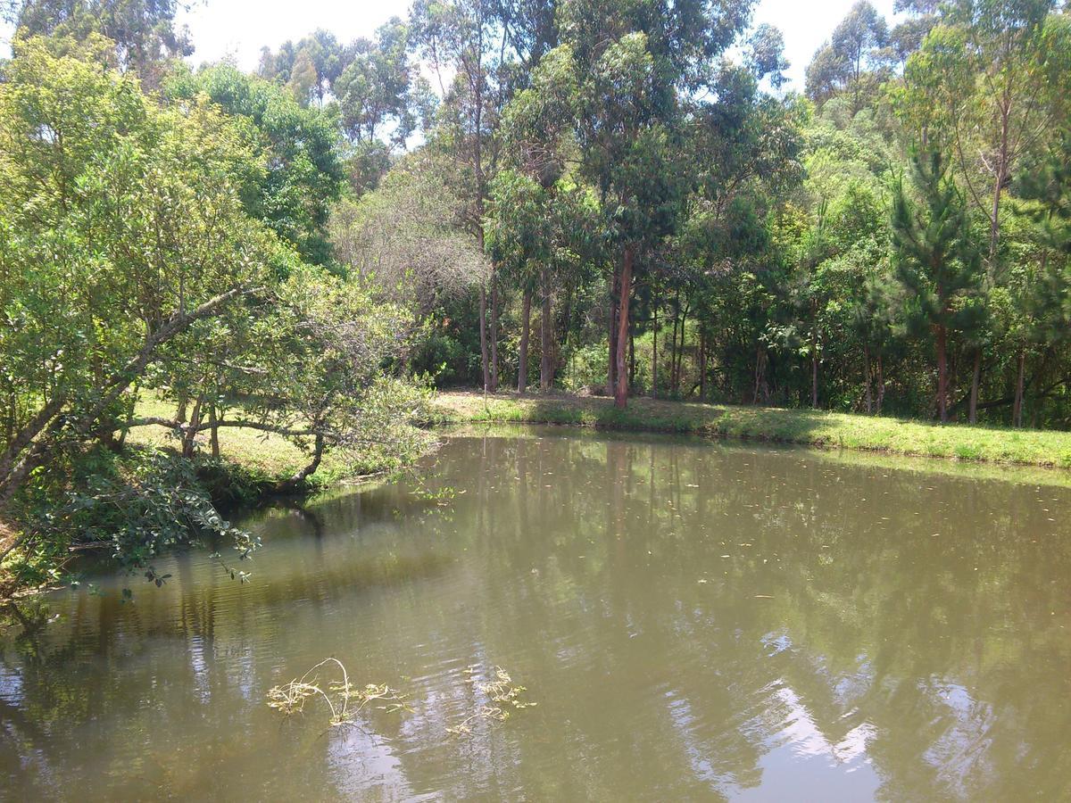 Pousada Ilhas Do Sol Senador Amaral Bilik gambar